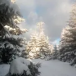Chopina 6 Na Zielonym Wzgorzu Apartmán Jedlina-Zdroj