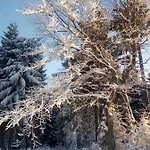 Chopina 6 Na Zielonym Wzgorzu Jedlina-Zdroj