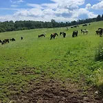 Chopina 6 Na Zielonym Wzgorzu Jedlina-Zdroj