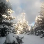 Chopina 6 Na Zielonym Wzgorzu Apartmán *