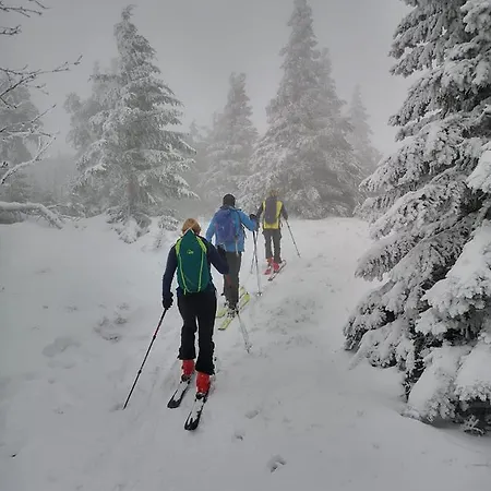 Chopina 6 Na Zielonym Wzgórzu