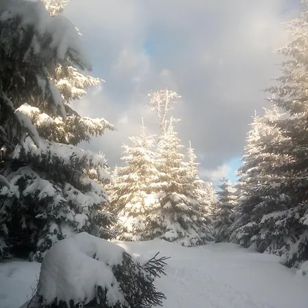 Chopina 6 Na Zielonym Wzgorzu Appartement Jedlina-Zdroj
