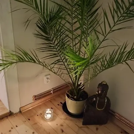 Chopina 6 Na Zielonym Wzgorzu Appartement Jedlina-Zdroj