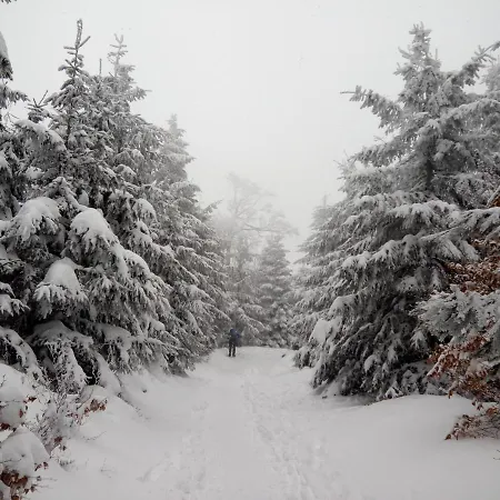 Appartement Chopina 6 Na Zielonym Wzgorzu Jedlina-Zdroj