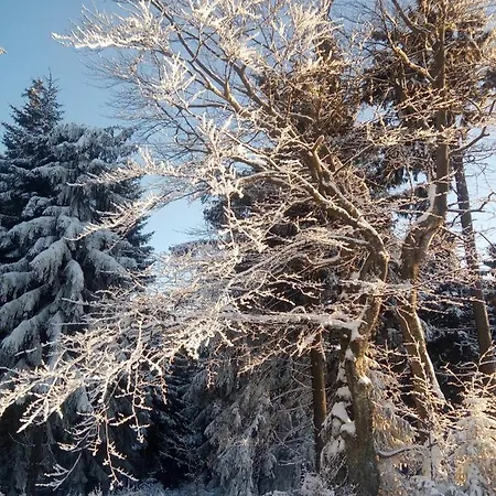 Chopina 6 Na Zielonym Wzgórzu Jedlina-Zdroj
