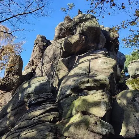 Chopina 6 Na Zielonym Wzgorzu *