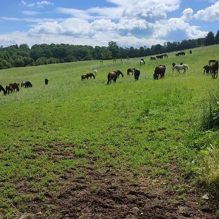 Chopina 6 Na Zielonym Wzgorzu Jedlina-Zdroj