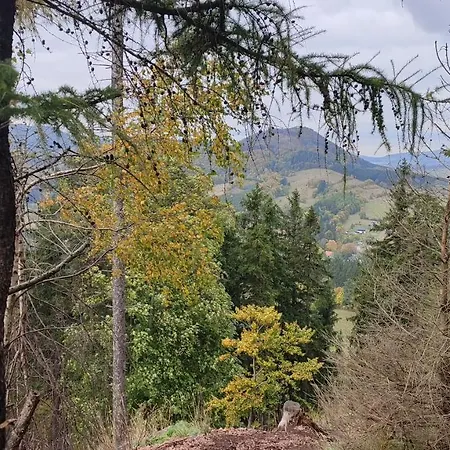 Chopina 6 Na Zielonym Wzgorzu Appartement *