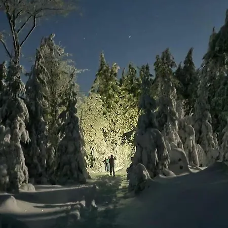 Chopina 6 Na Zielonym Wzgorzu *