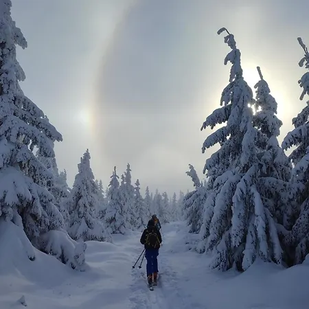 Chopina 6 Na Zielonym Wzgorzu Jedlina-Zdroj