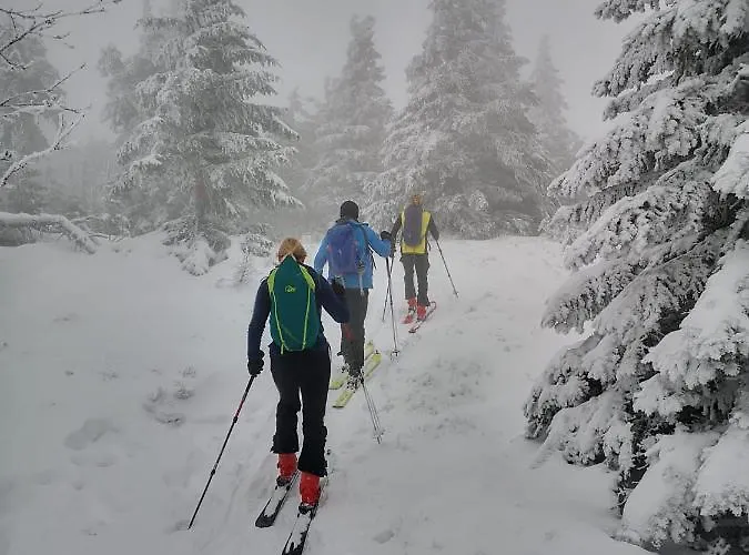 Chopina 6 Na Zielonym Wzgorzu