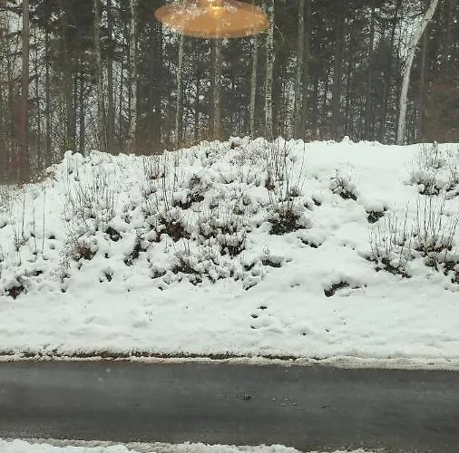 Chopina 6 Na Zielonym Wzgorzu Appartement Jedlina-Zdroj