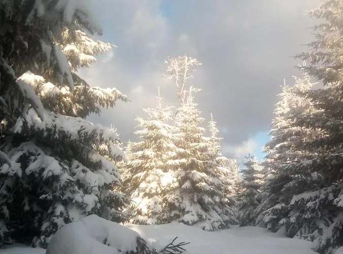 Chopina 6 Na Zielonym Wzgorzu Appartement Jedlina-Zdroj