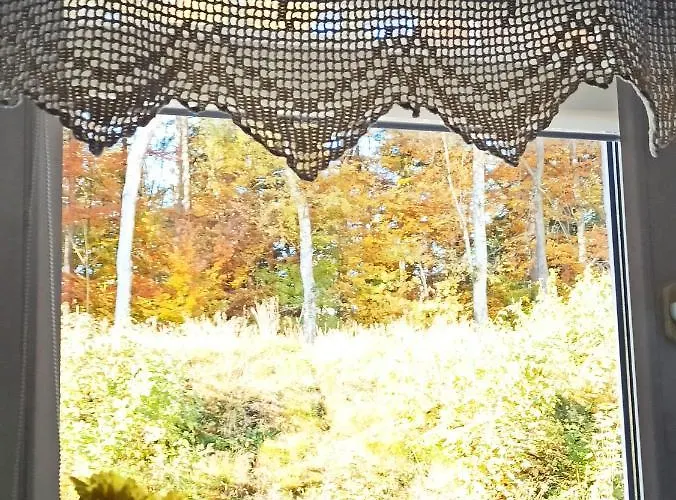 Chopina 6 Na Zielonym Wzgorzu Appartement