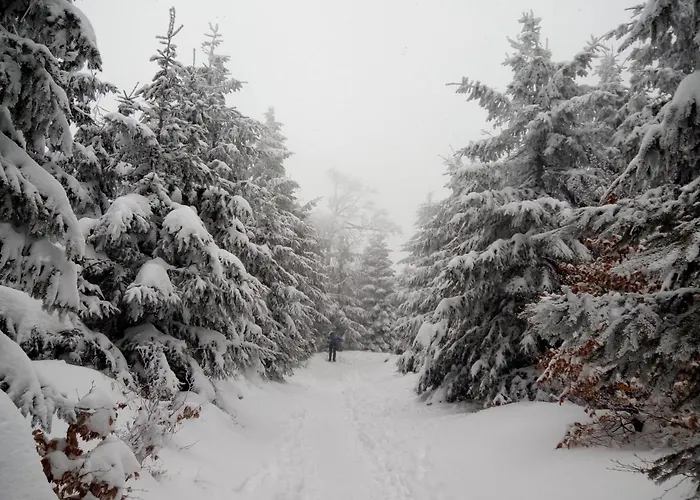 아파트 Chopina 6 Na Zielonym Wzgorzu 예들리나-즈드로이