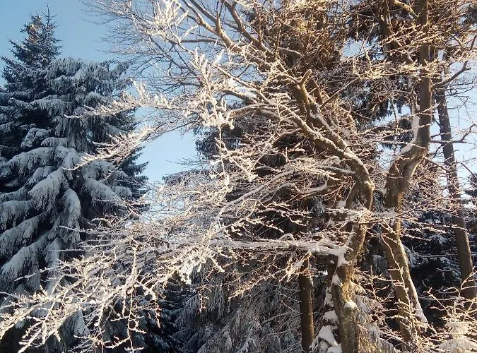 Chopina 6 Na Zielonym Wzgorzu Jedlina-Zdroj