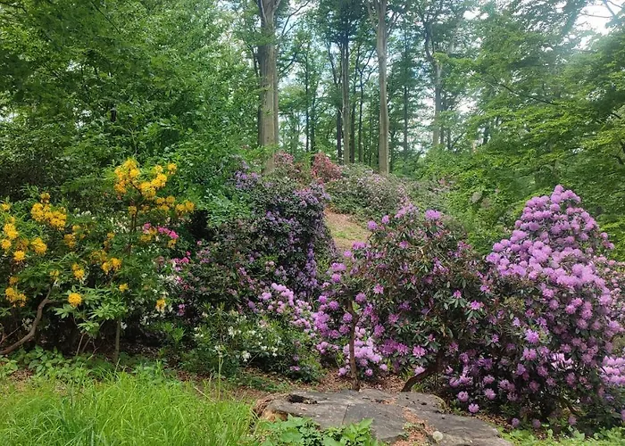 Appartement Chopina 6 Na Zielonym Wzgorzu Jedlina-Zdroj