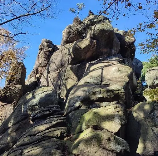 Chopina 6 Na Zielonym Wzgorzu *