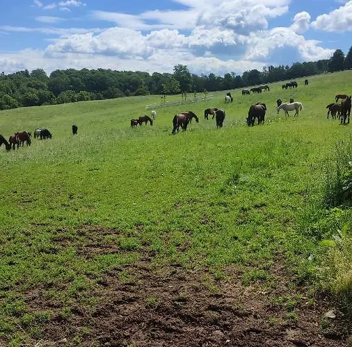 Chopina 6 Na Zielonym Wzgorzu Jedlina-Zdroj