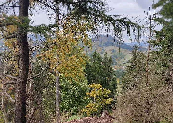 Chopina 6 Na Zielonym Wzgorzu Appartement *