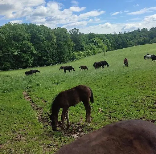 아파트 Chopina 6 Na Zielonym Wzgorzu *