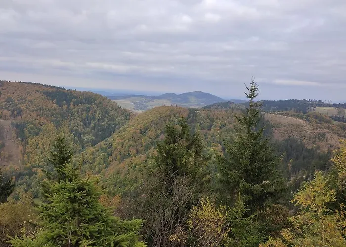 Chopina 6 Na Zielonym Wzgorzu