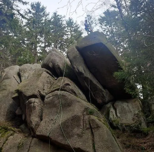 아파트 Chopina 6 Na Zielonym Wzgorzu 예들리나-즈드로이