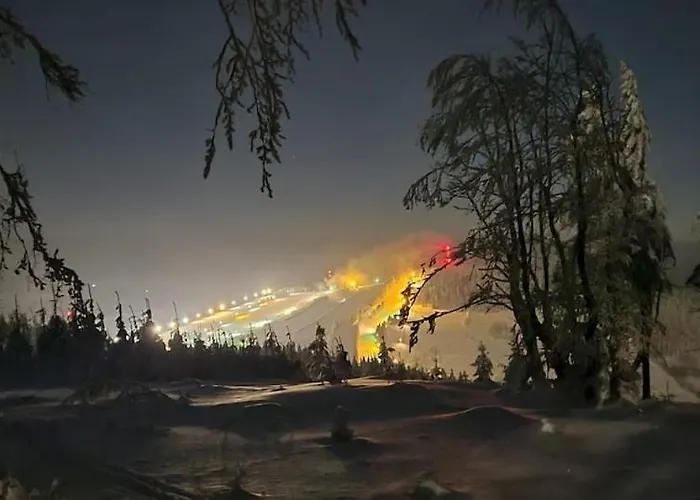 Chopina 6 Na Zielonym Wzgorzu * 예들리나-즈드로이