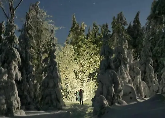 Chopina 6 Na Zielonym Wzgorzu *