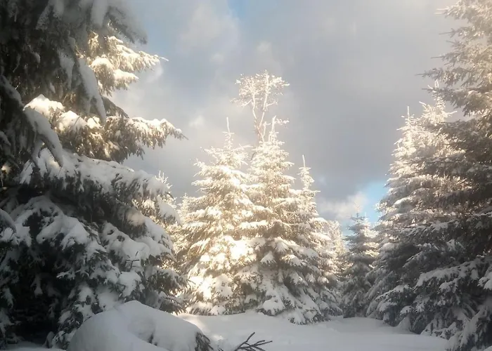 Chopina 6 Na Zielonym Wzgorzu Appartement *