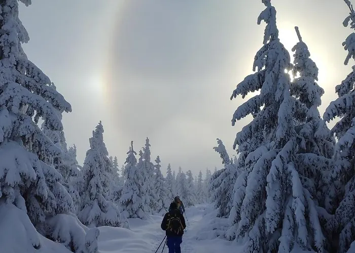 Chopina 6 Na Zielonym Wzgorzu 예들리나-즈드로이